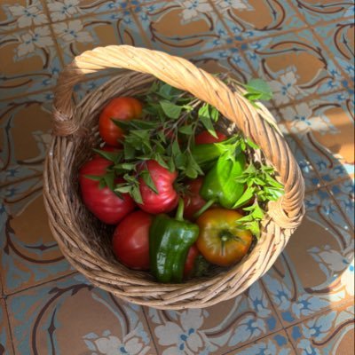 ZohraBitan's profile picture