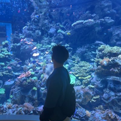 lunqrv's profile picture