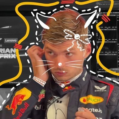 ⭒ max verstappen as cats ⭒'s profile picture