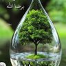 العراقي العراقي's profile picture
