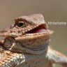 Фото профиля Toby Pinder