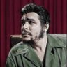 Civakparêz's profile picture