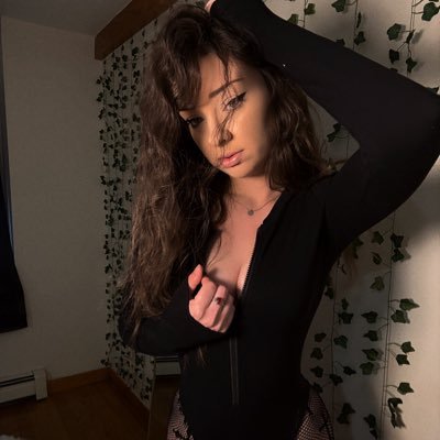 nat 🦇's profile picture