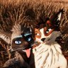 Echo 🦊's profile picture