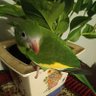 Profilbild von Andi