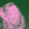 ®'s profile picture