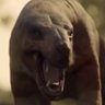 Profilbild von CEO Of Shimozilla (Triassic pilled)
