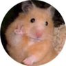 🐰ྀི's profile picture