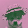 Joel 🍉's profile picture