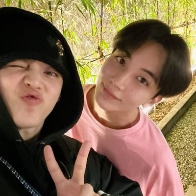 anya | AU 📌 | rest.'s profile picture