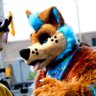 ℕ𝕀𝕋ℝ𝕆 🇨🇦🐾 的头像