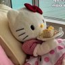 reloquiti's profile picture