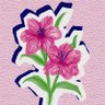 acell🍓's profile picture