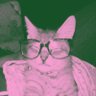 naraa𓋜's profile picture
