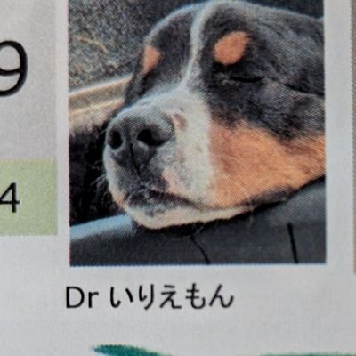 いりえもn's profile picture