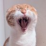 ひたる profil fotoğrafı