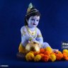 Deshbhakt's profile picture