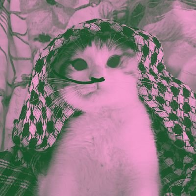 Callmeuusss's profile picture