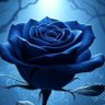 Pam Marie's profile picture