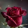 Nidal Kassab's profile picture