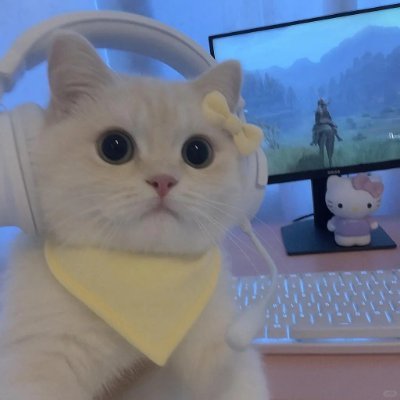 田經女孩🍎小婕's profile picture