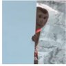 maro dear's profile picture