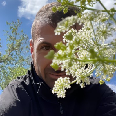 ModernShamanX's profile picture