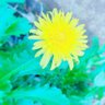 へう's profile picture
