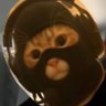 Mask Consalvo's profile picture