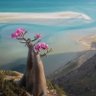 Profilbild von فهمي بن منصور