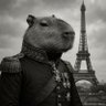 Profilbild von Un Carpincho Imperial