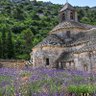 Trajan 🇮🇹🇫🇷🇺🇸💒✝️🏞️🍷🧀📚 的头像