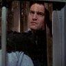 não não amigão's profile picture