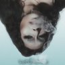 Profilbild von K̴̮̗͋ě̶̲̞̝͝ỹ̷̱̲̹̽͊ ̴̙̚F̸̫̔͂̇ä̷̞̼̰́̀́ņ̵͐̅̏g̶🦋🌪