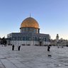 OsamaTahboub's profile picture