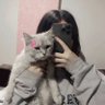 لوسي 🐈 🇸🇦 的头像