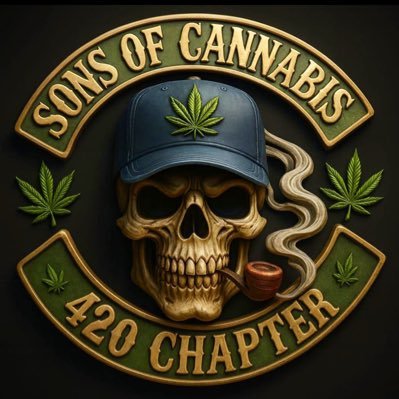 ZamanyIbrahim's profile picture