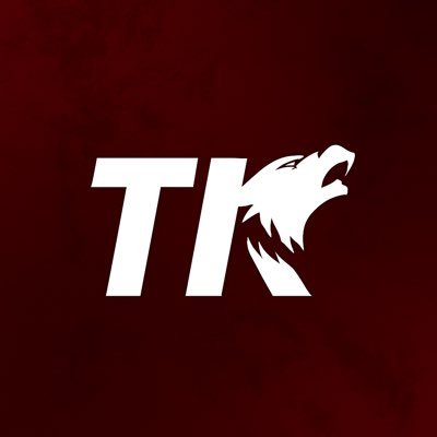 Türkçü Kavga's profile picture