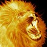 أيوب _ خاص profil fotoğrafı