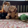 The adventures of Junior and friends 的头像