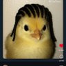 Profilbild von Fubsy Wubsy