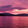 Amuzed profil fotoğrafı