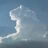God Came Down's profile picture
