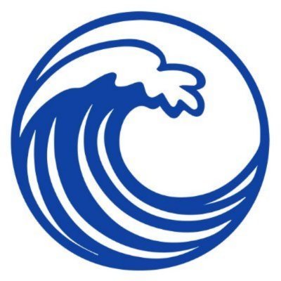 Surge's profile picture