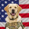 🇺🇸🐸Frogman Serge🐸🇺🇸 的头像