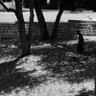Фото профиля Jacobi, BAKEWAY