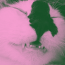 🐈 profil fotoğrafı