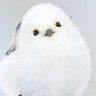 かずや 的头像