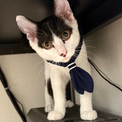칼's profile picture