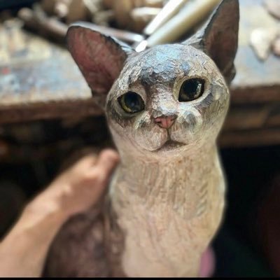 xiaozhoufriend's profile picture